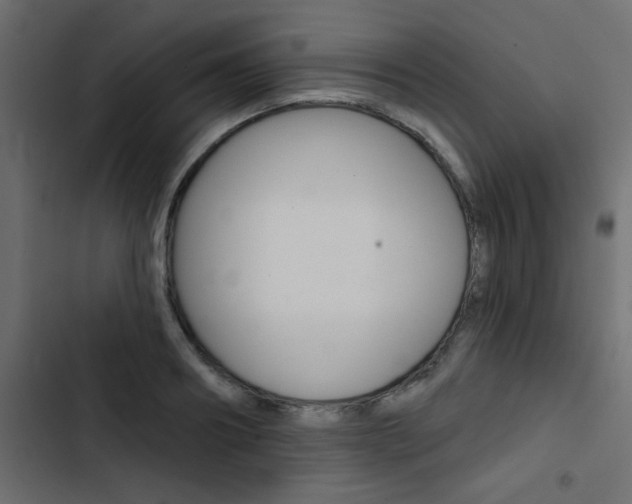 X0000103910890200809191116