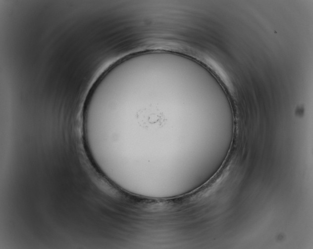 X0000103910891200809191116