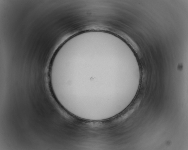 X0000103910893200809191116