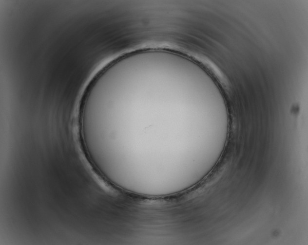 X0000103910894200809191116