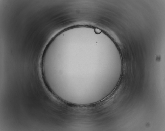 X0000103910895200809191116