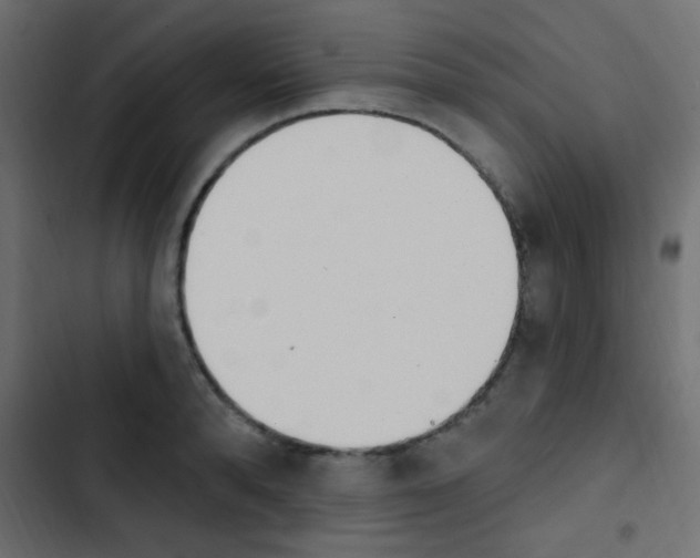 X0000103910896200809191116