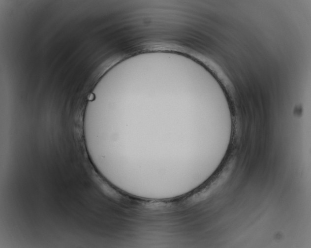 X0000103910897200809191116