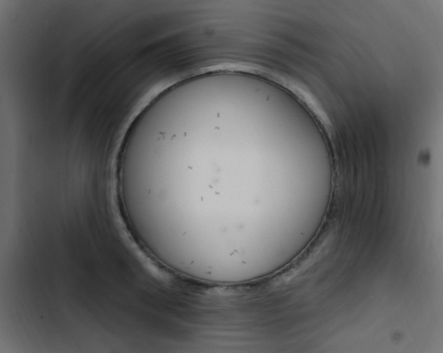 X0000103910898200809191116