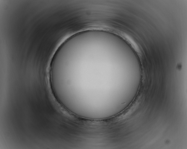 X0000103910899200809191116