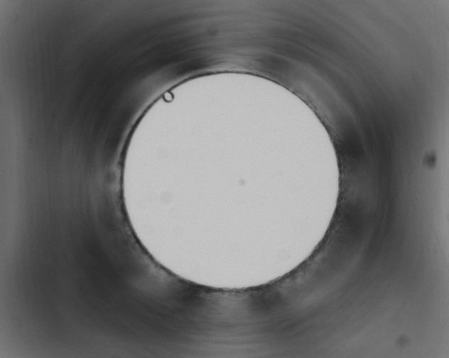 X0000103910900200809191116