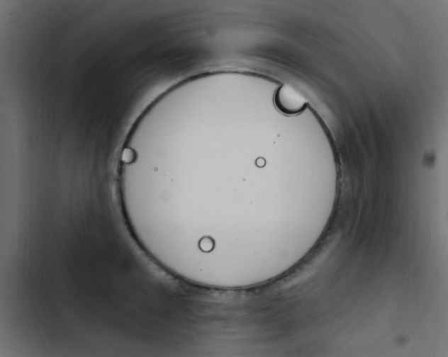 X0000103910901200809191116
