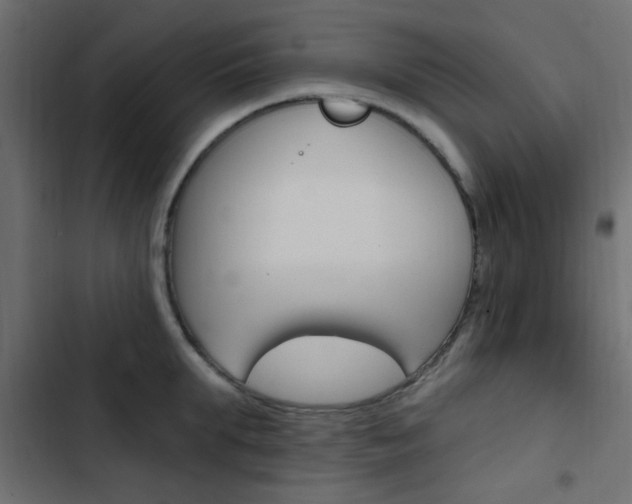 X0000103910903200809191116