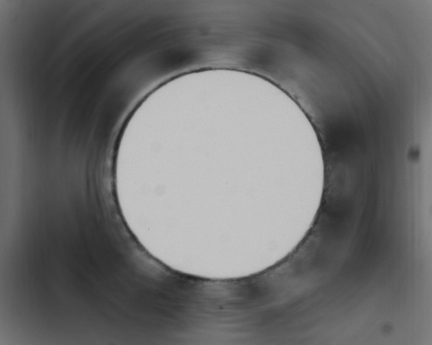 X0000103910904200809191116