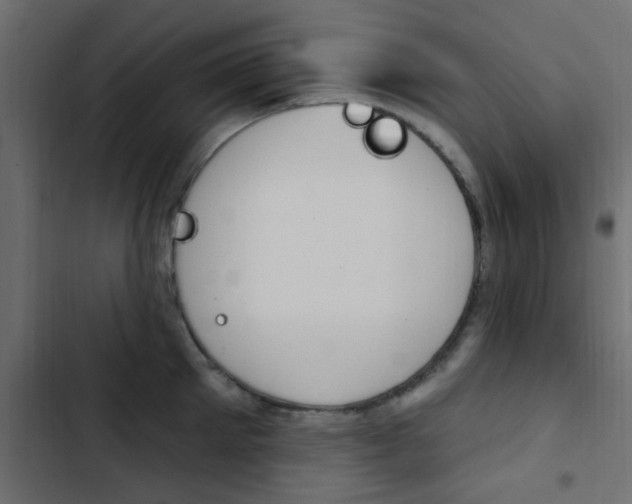 X0000103910905200809191116