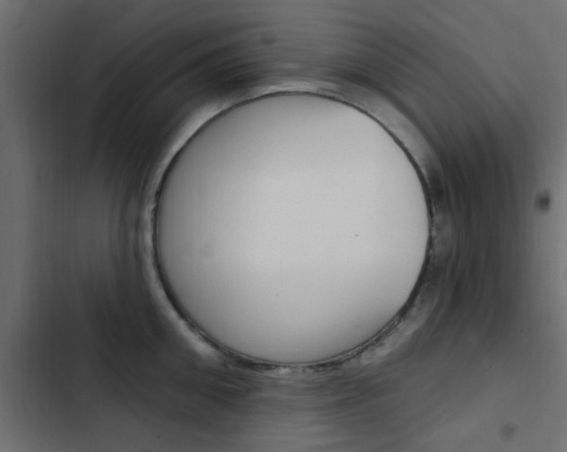 X0000103910906200809191116