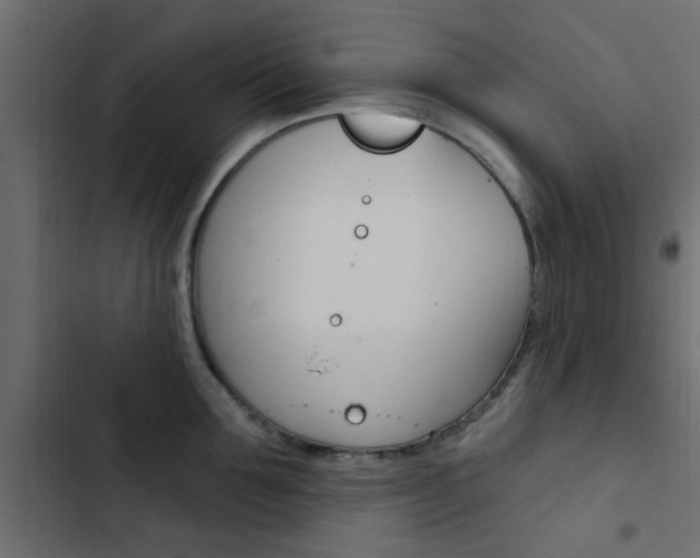X0000103910907200809191116
