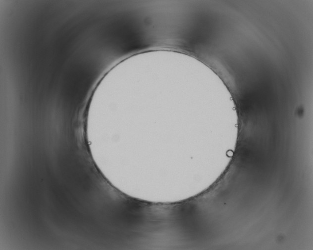 X0000103910908200809191116