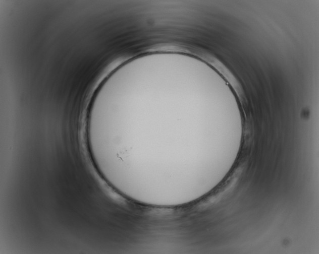 X0000103910909200809191116