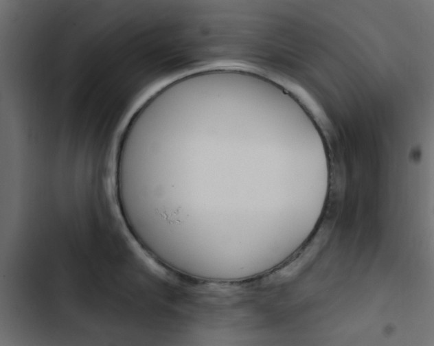 X0000103910910200809191116
