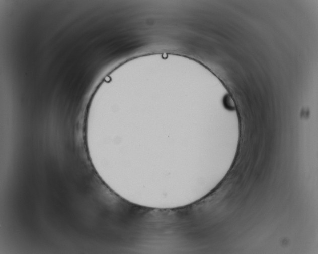 X0000103910912200809191116