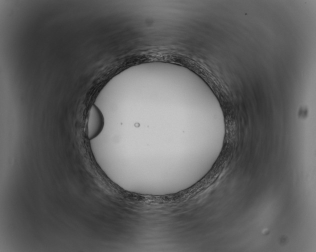 X0000103910913200809191115