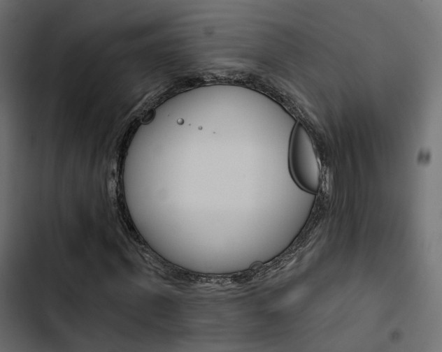X0000103910915200809191115