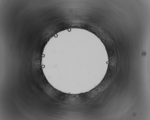 X0000103910916200809191115