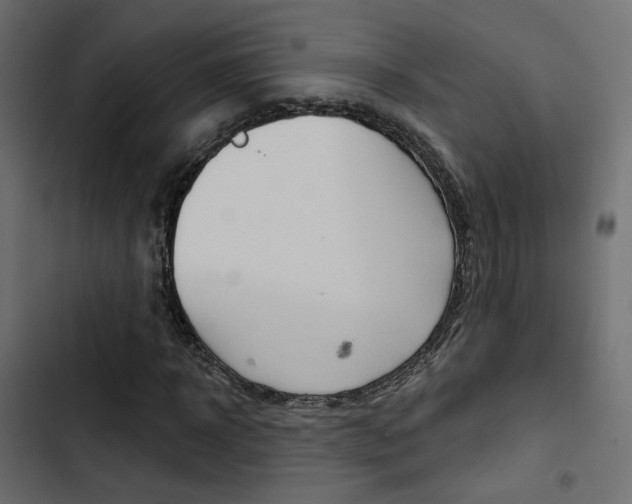 X0000103910918200809191115