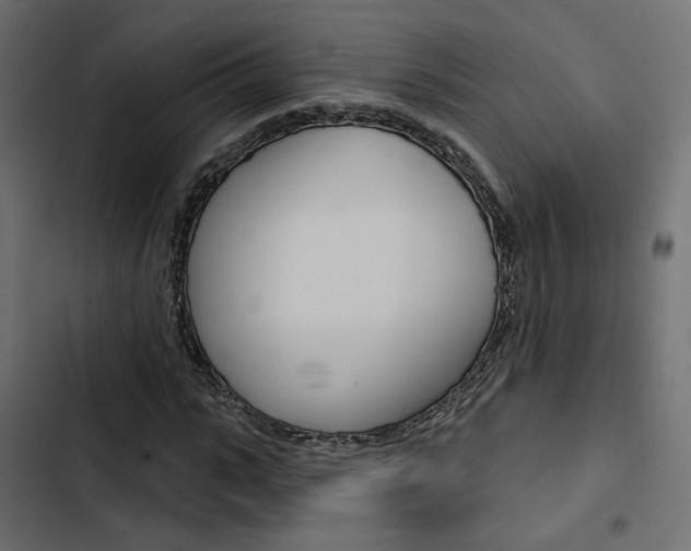 X0000103910919200809191115