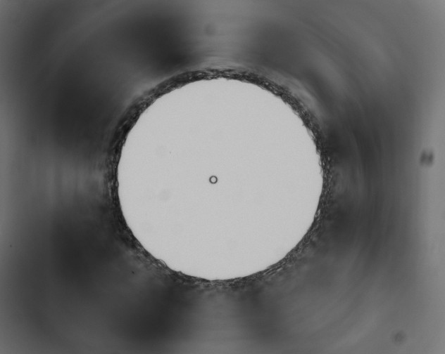X0000103910920200809191115