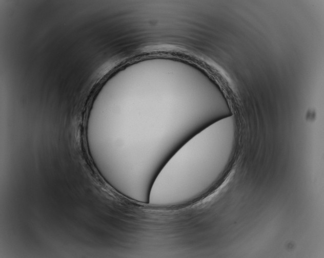 X0000103910921200809191115