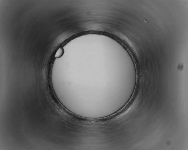 X0000103910922200809191115