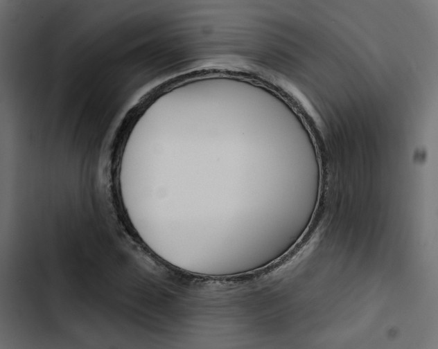 X0000103910923200809191115