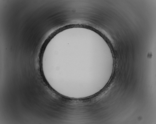 X0000103910927200809191115