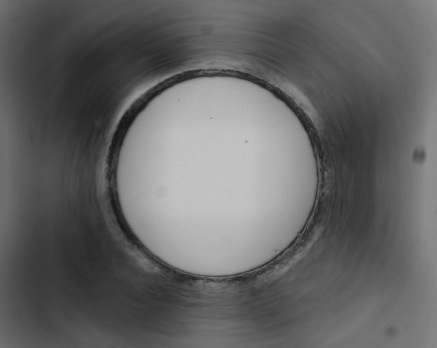X0000103910928200809191115