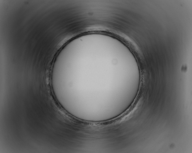 X0000103910929200809191115