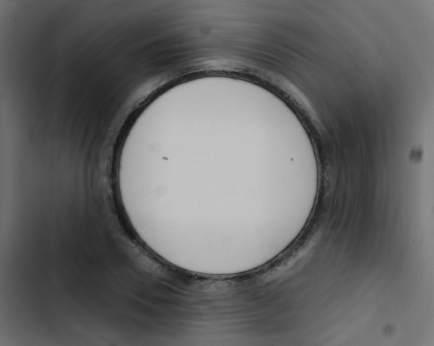 X0000103910930200809191115