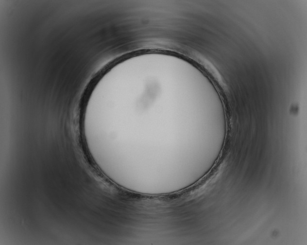 X0000103910931200809191116
