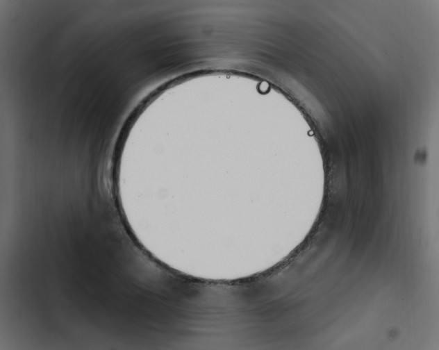 X0000103910932200809191116