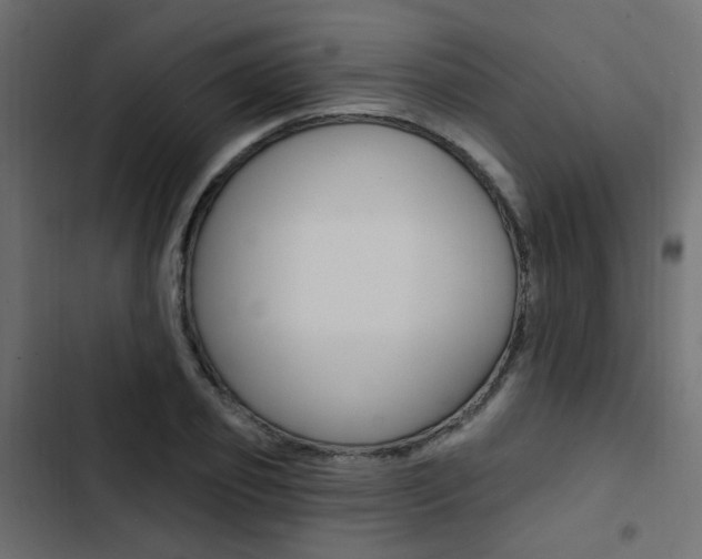 X0000103910933200809191116