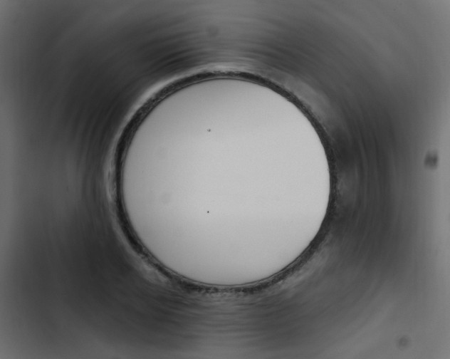 X0000103910934200809191116