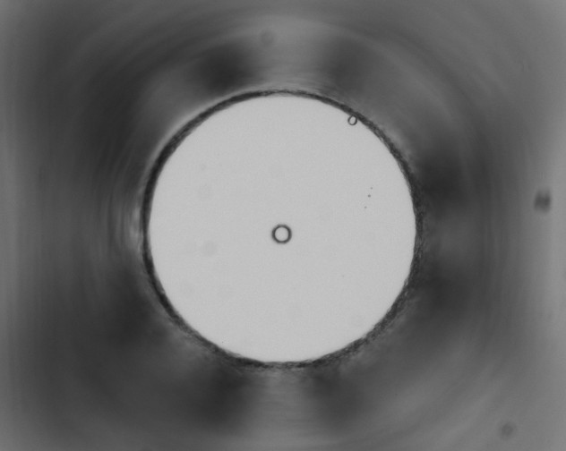 X0000103910936200809191116