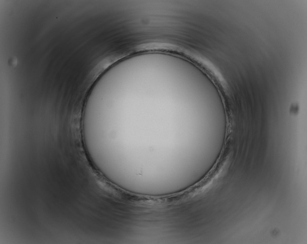 X0000103910937200809191116