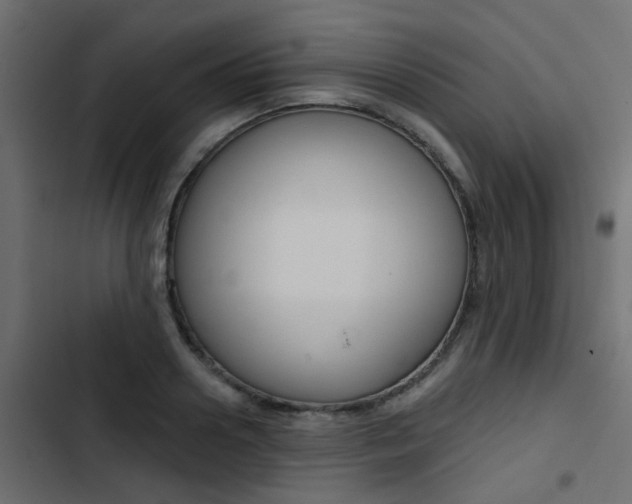 X0000103910938200809191116