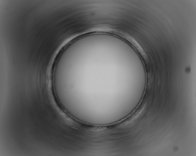 X0000103910939200809191116