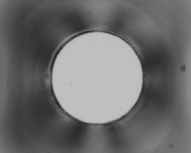 X0000103910940200809191116