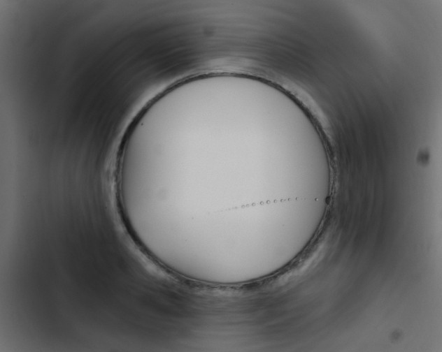 X0000103910941200809191116