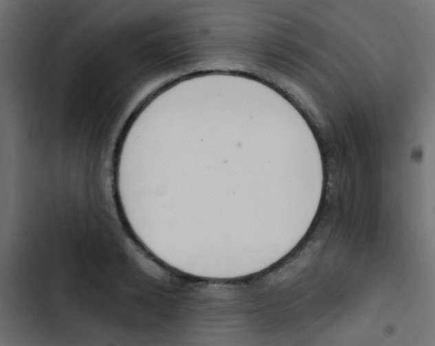 X0000103910942200809191116
