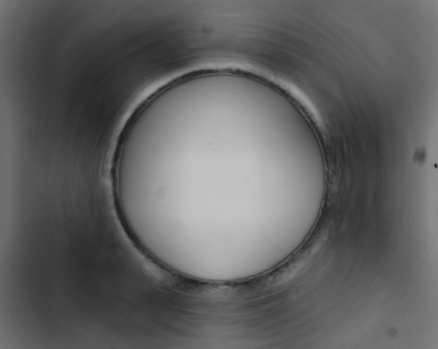 X0000103910943200809191116