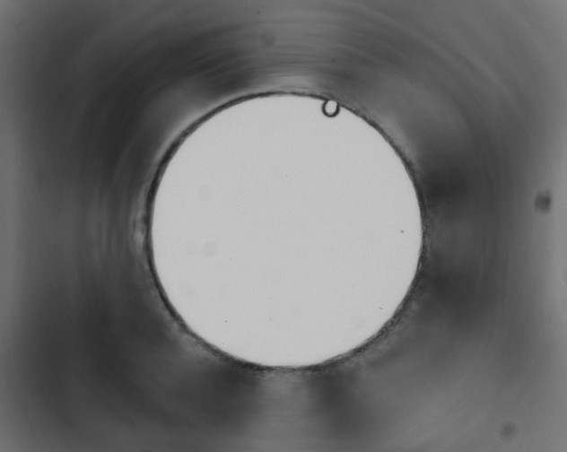 X0000103910944200809191116