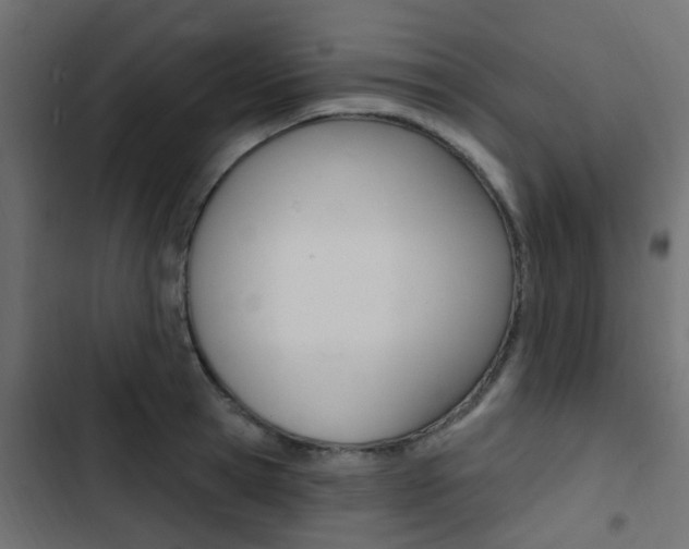 X0000103910945200809191116