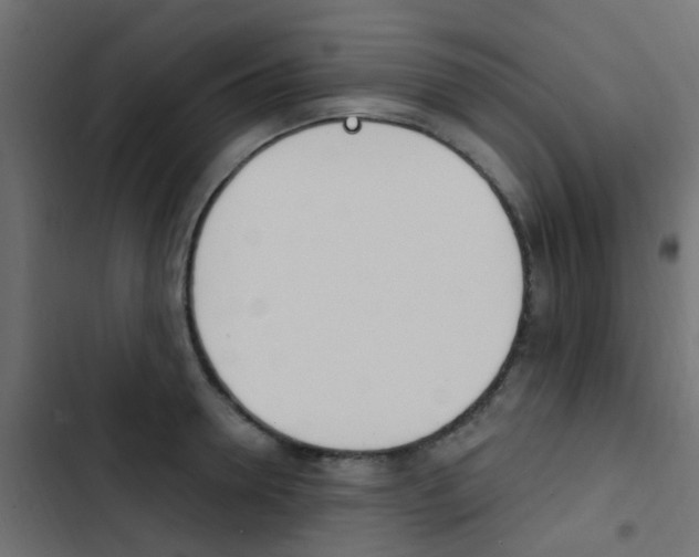 X0000103910946200809191116