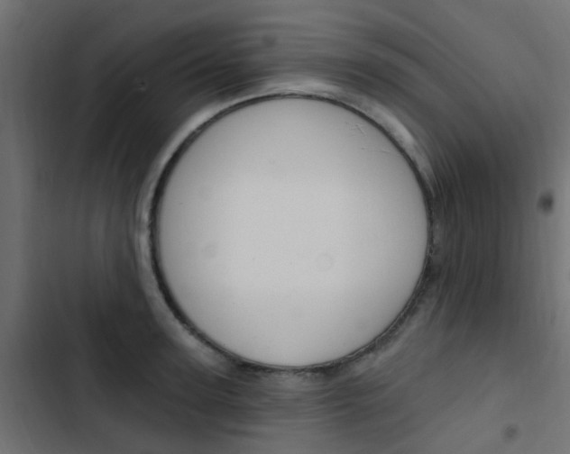X0000103910947200809191116