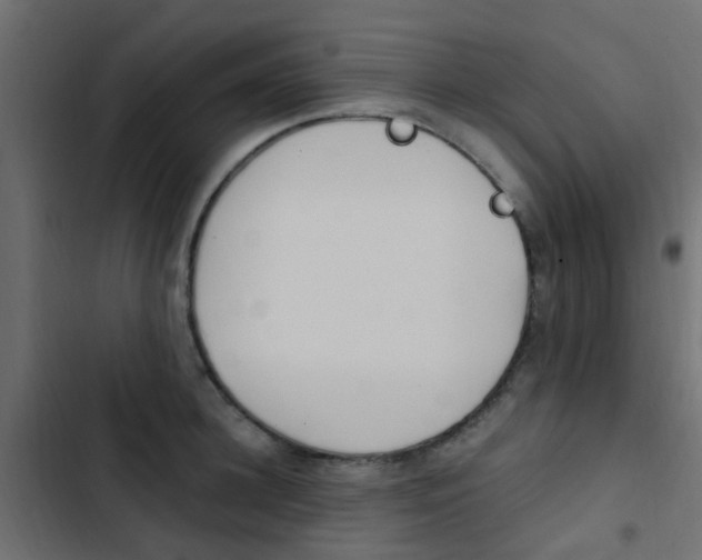 X0000103910948200809191116